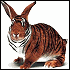 Avatar gebruiker