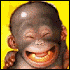 Avatar gebruiker